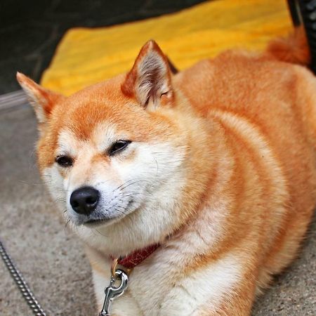 Hounkan Yoshino  Exterior foto